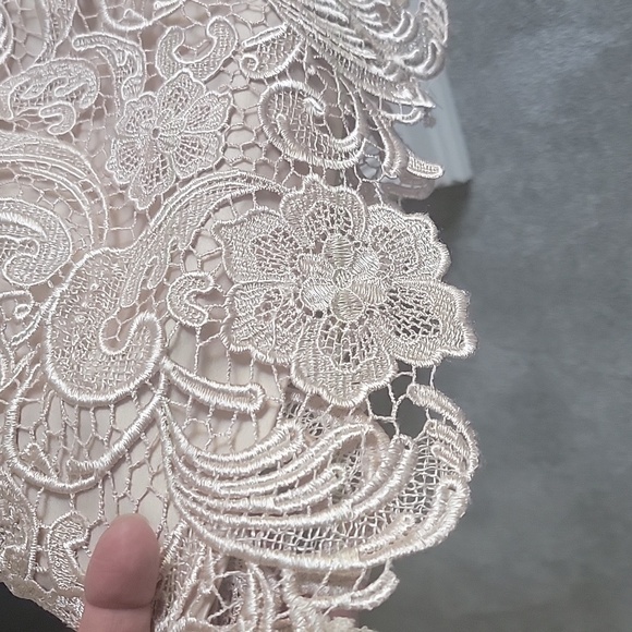 Adrianna Papell lace evening dress - Picture 3 of 4